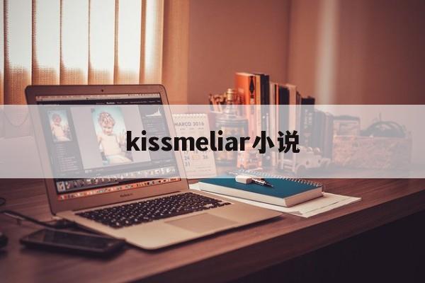 kissmeliar小说(kiss me, liar zig 小说在线阅读)